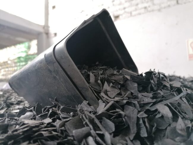 WhatsApp Image 2021-06-12 at 9.37.19 AM