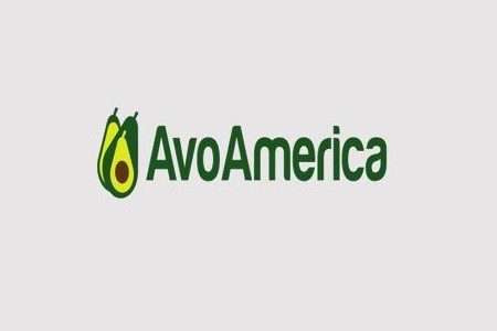 AVOAMERICA 2