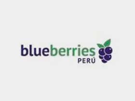 clientes-blue-berries